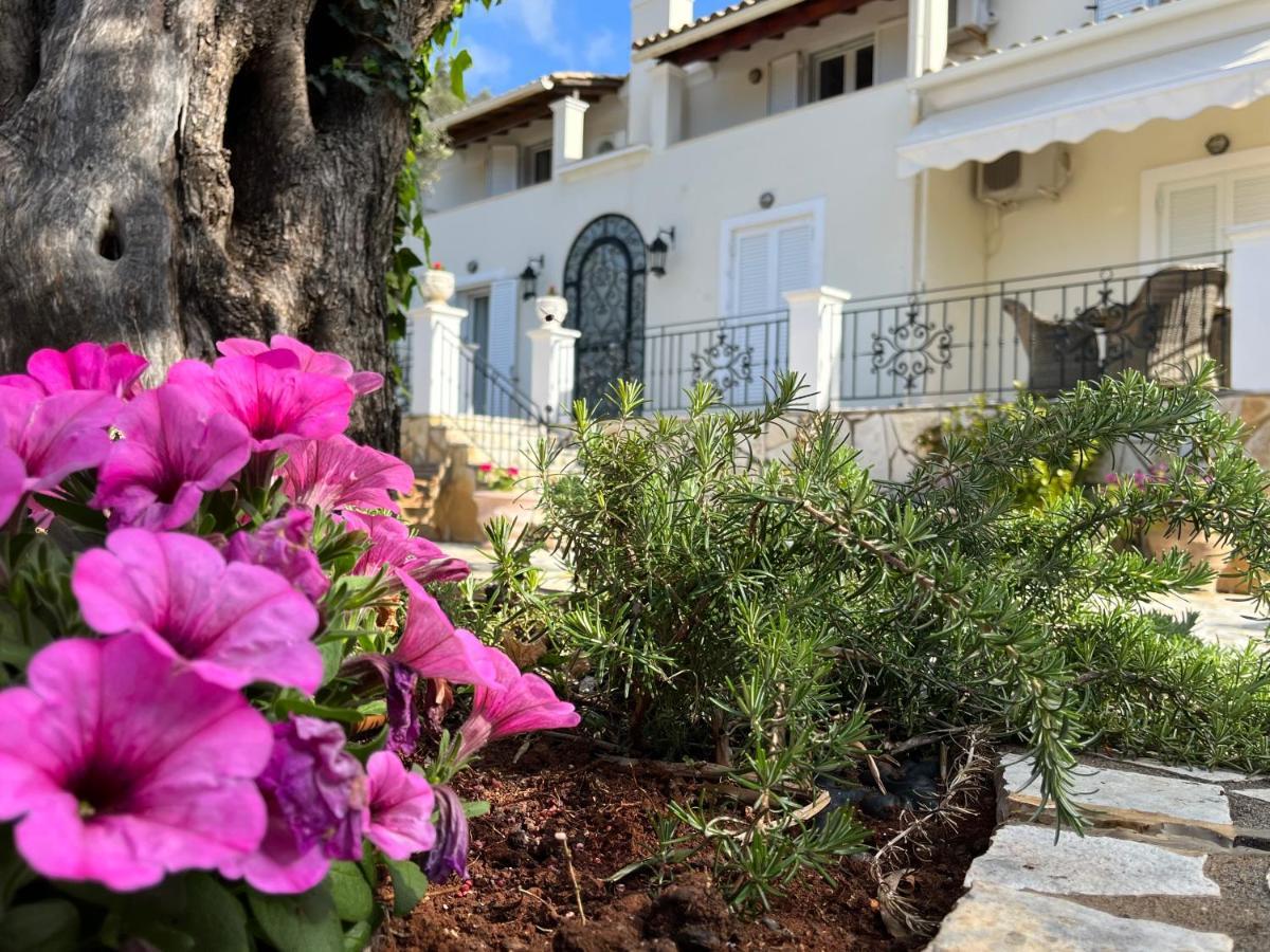 Villa Ampelaki "30 Meters To Beach" Palaiokastritsa Esterno foto