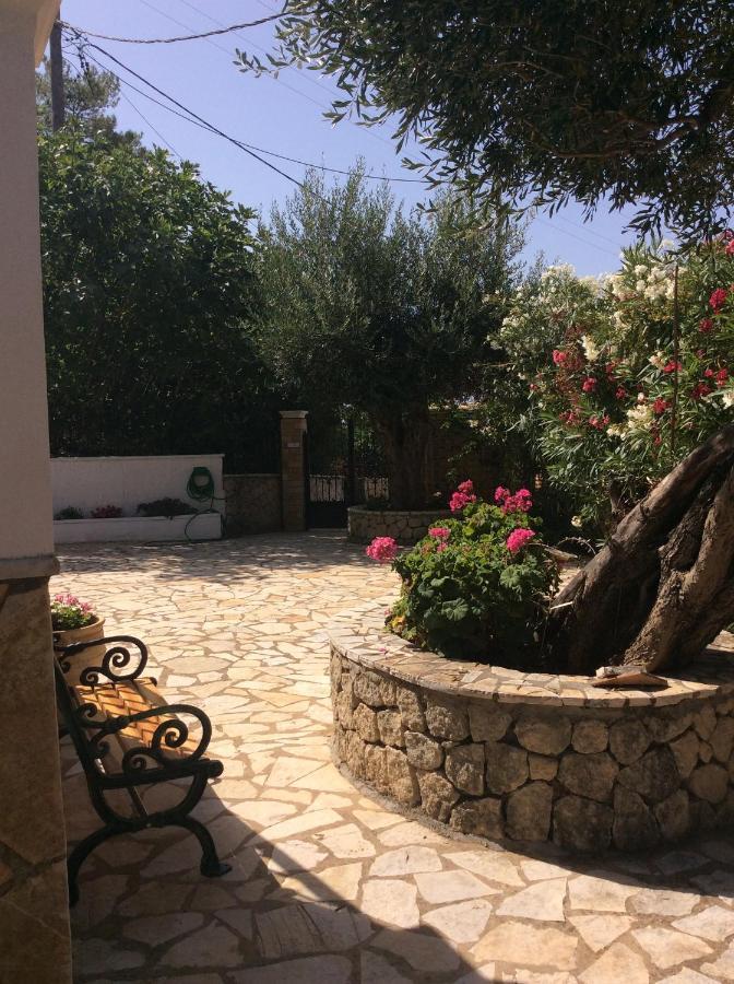 Villa Ampelaki "30 Meters To Beach" Palaiokastritsa Esterno foto